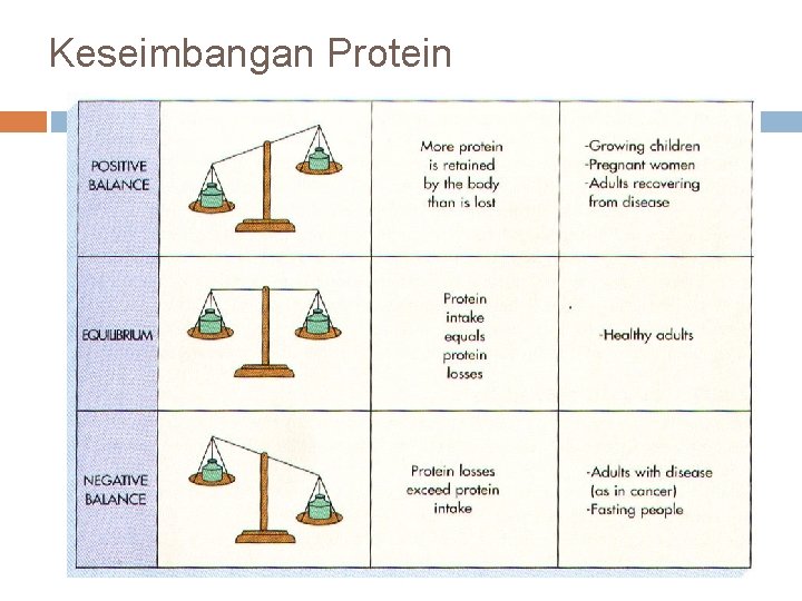 Keseimbangan Protein 