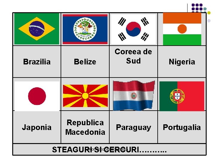 Brazilia Belize Japonia Republica Macedonia Coreea de Sud Nigeria Paraguay Portugalia STEAGURI SI CERCURI……….