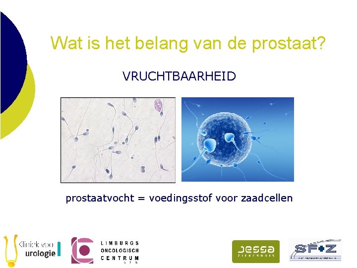 Wat is het belang van de prostaat? VRUCHTBAARHEID prostaatvocht = voedingsstof voor zaadcellen 