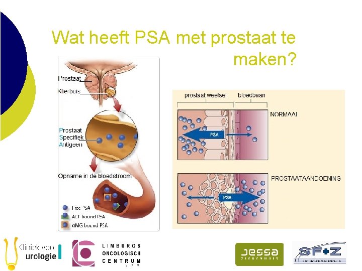 Wat heeft PSA met prostaat te maken? 