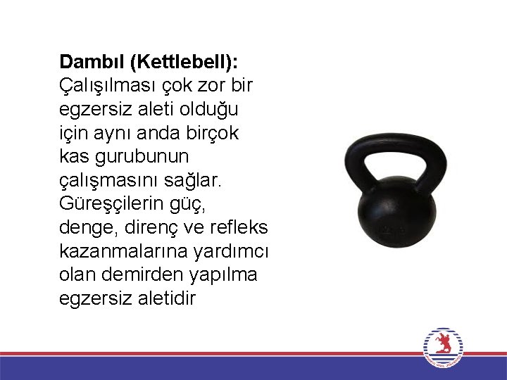 Dambıl (Kettlebell): Çalışılması çok zor bir egzersiz aleti olduğu için aynı anda birçok kas