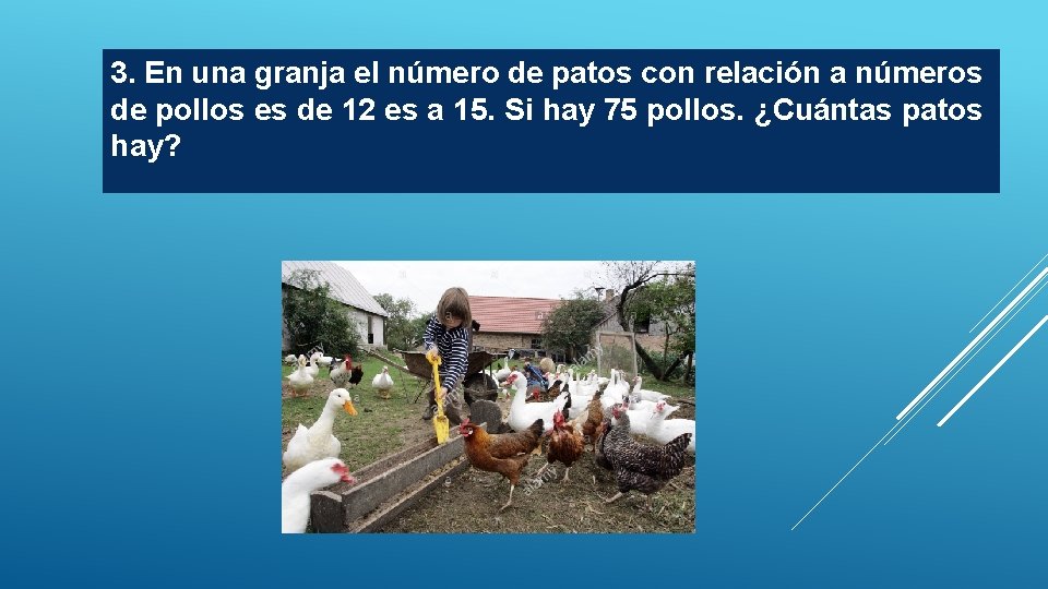 3. En una granja el número de patos con relación a números de pollos