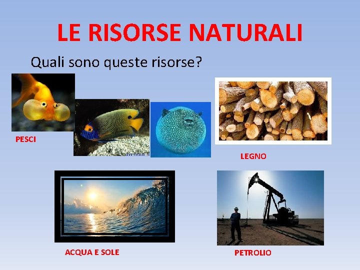 LE RISORSE NATURALI Quali sono queste risorse? PESCI LEGNO ACQUA E SOLE PETROLIO 