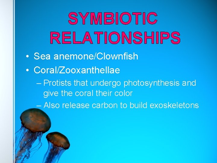 SYMBIOTIC RELATIONSHIPS • Sea anemone/Clownfish • Coral/Zooxanthellae – Protists that undergo photosynthesis and give