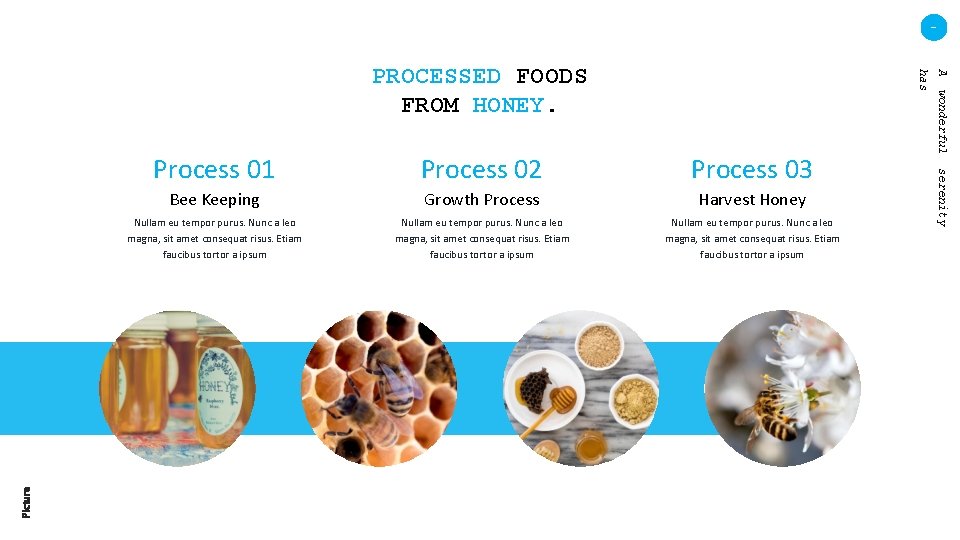 - Picture Process 03 Bee Keeping Growth Process Harvest Honey Nullam eu tempor purus.