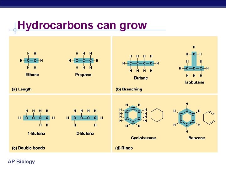 Hydrocarbons can grow AP Biology 