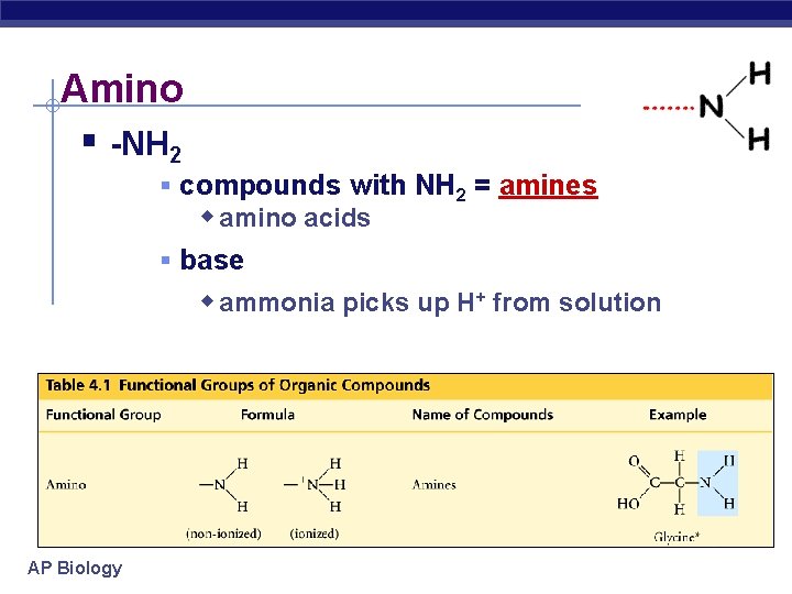 Amino § -NH 2 § compounds with NH 2 = amines w amino acids