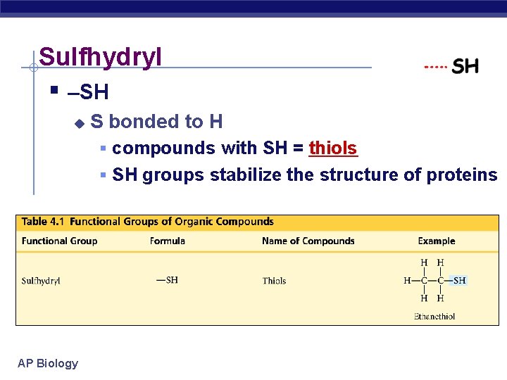Sulfhydryl § –SH u S bonded to H § compounds with SH = thiols
