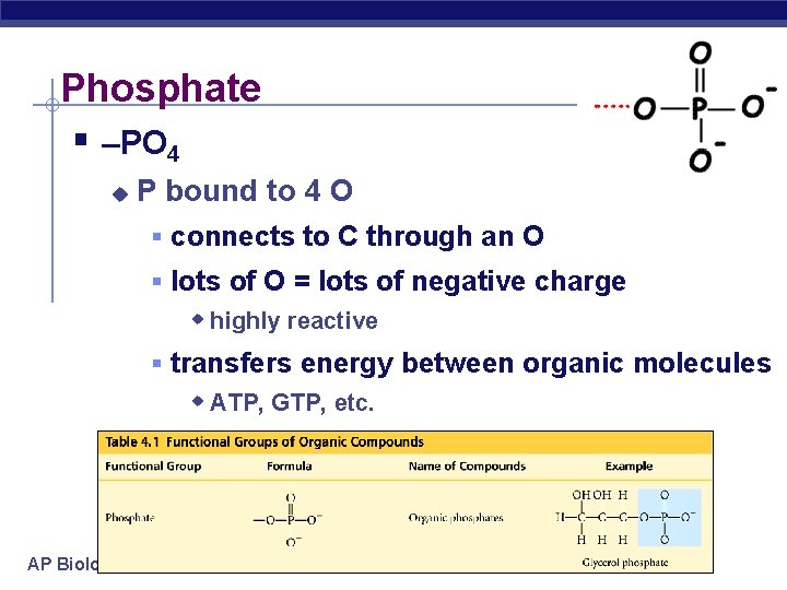 Phosphate § –PO 4 u P bound to 4 O § connects to C