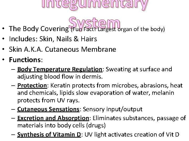 Integumentary • The Body Covering. System (Fun Fact! Largest organ of the body) •