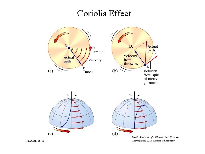 Water Cycle Global Circulation Driven by convection flow