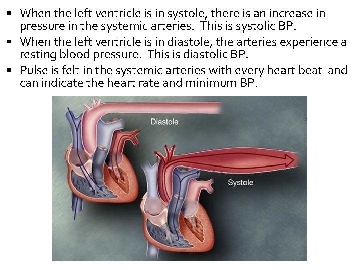  When the left ventricle is in systole, there is an increase in pressure