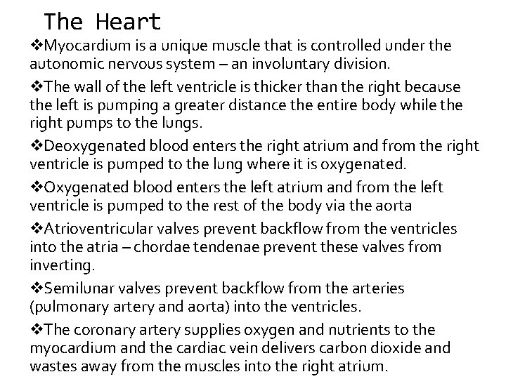 The Heart v. Myocardium is a unique muscle that is controlled under the autonomic