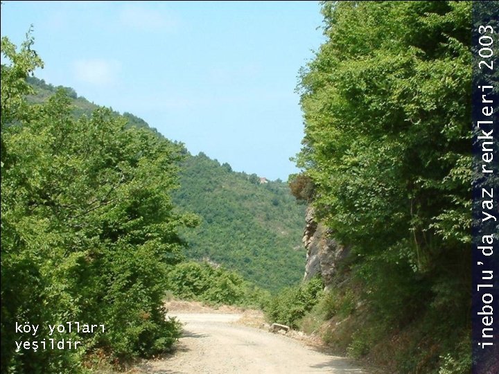inebolu’da yaz renkleri 2003 köy yolları yeşildir 