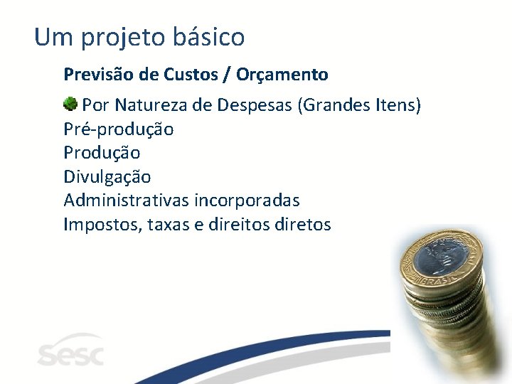 Um projeto básico Previsão de Custos / Orçamento Por Natureza de Despesas (Grandes Itens)