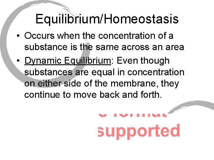 Equilibrium/Homeostasis • Occurs when the concentration of a substance is the same across an
