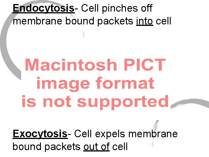 Endocytosis- Cell pinches off membrane bound packets into cell Exocytosis- Cell expels membrane bound