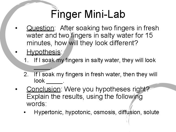 Finger Mini-Lab • Question: After soaking two fingers in fresh water and two fingers