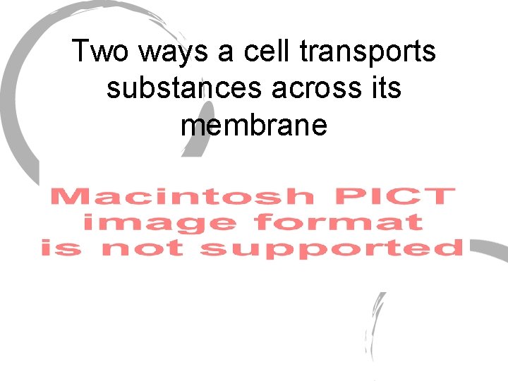 Two ways a cell transports substances across its membrane 