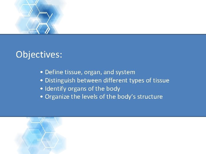 Objectives: • Define tissue, organ, and system • Distinguish between different types of tissue