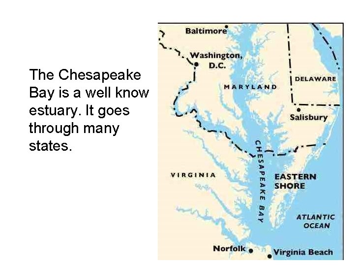 The Chesapeake Bay is a well know estuary. It goes through many states. 
