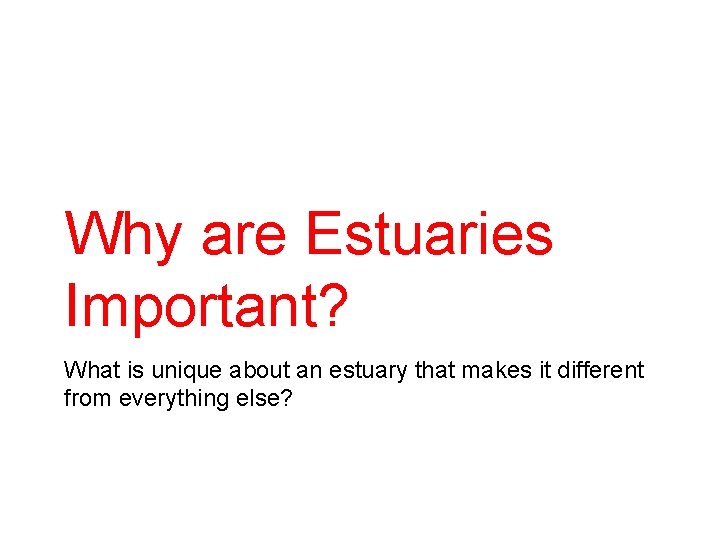 Why are Estuaries Important? What is unique about an estuary that makes it different