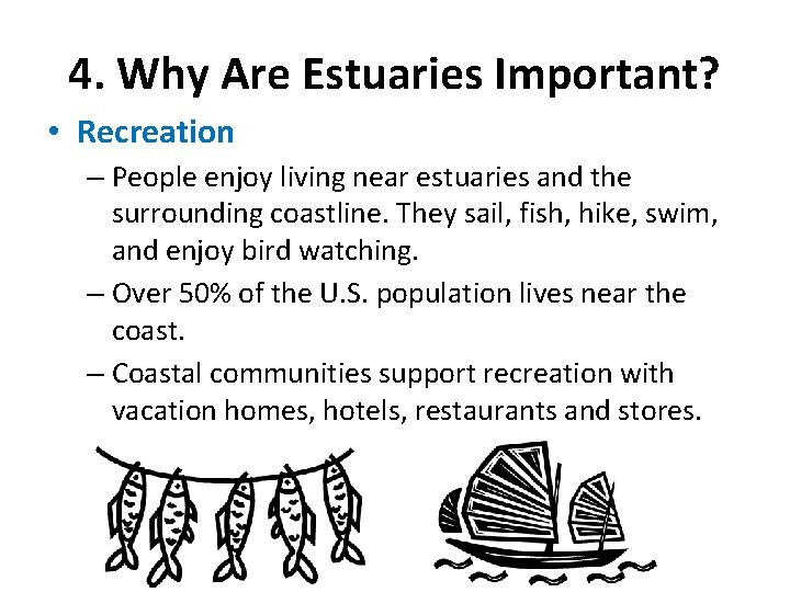 4. Why Are Estuaries Important? • Recreation – People enjoy living near estuaries and