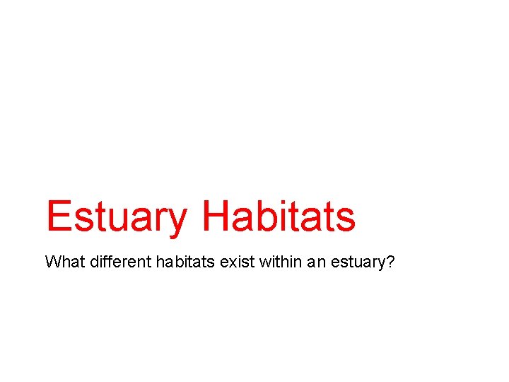 Estuary Habitats What different habitats exist within an estuary? 