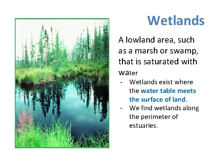 Wetlands A lowland area, such as a marsh or swamp, that is saturated with