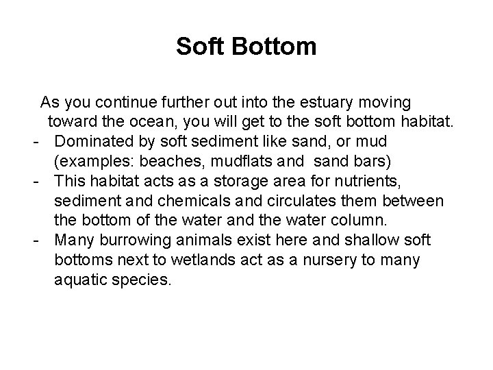 Soft Bottom As you continue further out into the estuary moving toward the ocean,