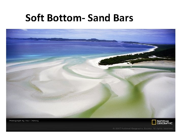 Soft Bottom- Sand Bars 