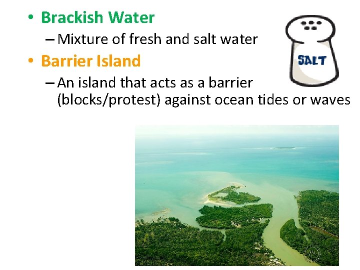  • Brackish Water – Mixture of fresh and salt water • Barrier Island