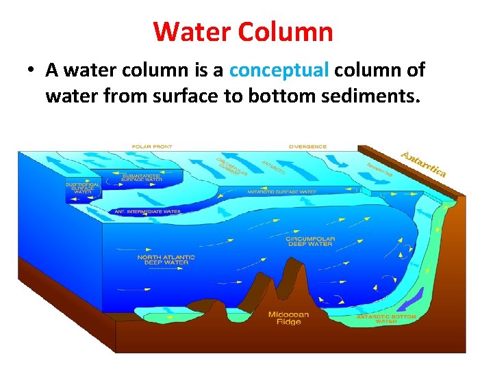 Water Column • A water column is a conceptual column of water from surface