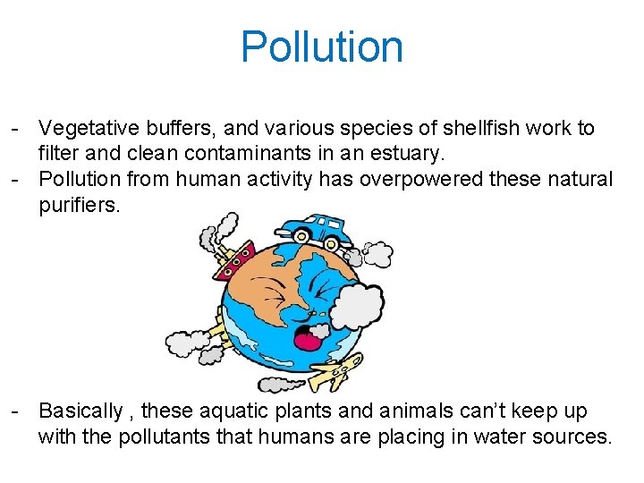 Pollution - Vegetative buffers, and various species of shellfish work to filter and clean