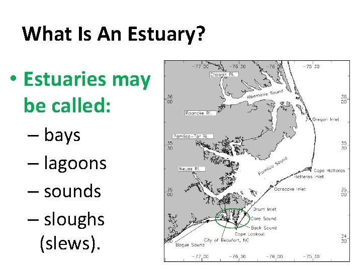 What Is An Estuary? • Estuaries may be called: – bays – lagoons –