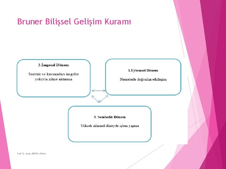 Bruner Bilişsel Gelişim Kuramı Prof. Dr. Aynur BÜTÜN AYHAN 