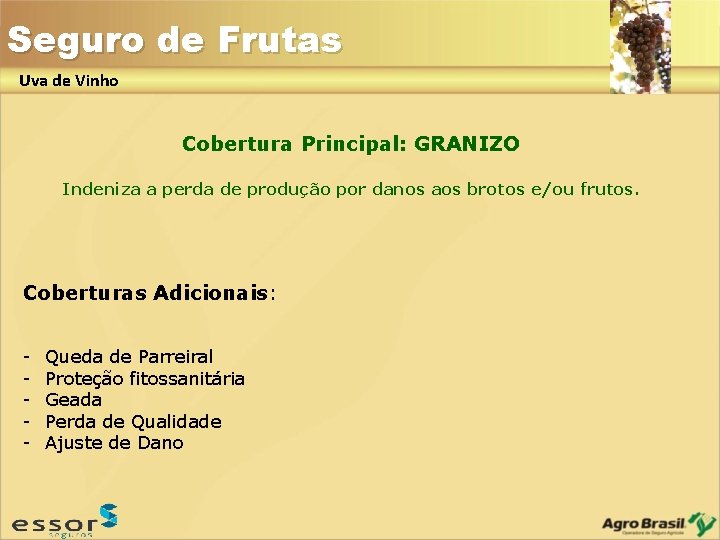 Seguro de Frutas Uva de Vinho Cobertura Principal: GRANIZO Indeniza a perda de produção Seguro de Frutas Uva de Vinho Cobertura Principal: GRANIZO Indeniza a perda de produção
