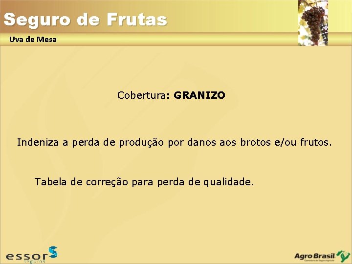 Seguro de Frutas Uva de Mesa Cobertura: GRANIZO Indeniza a perda de produção por Seguro de Frutas Uva de Mesa Cobertura: GRANIZO Indeniza a perda de produção por