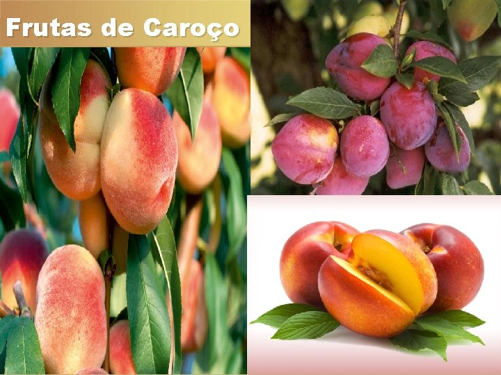 Frutas de Caroço Frutas de Caroço