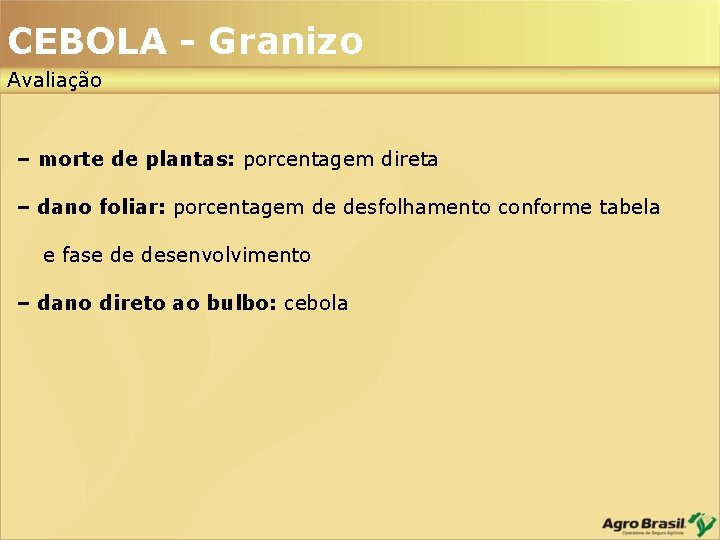 CEBOLA - Granizo Avaliação – morte de plantas: porcentagem direta – dano foliar: porcentagem CEBOLA - Granizo Avaliação – morte de plantas: porcentagem direta – dano foliar: porcentagem