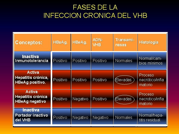 FASES DE LA INFECCION CRONICA DEL VHB Conceptos: Inactiva Inmunotolerancia Activa Hepatitis crónica, HBe.