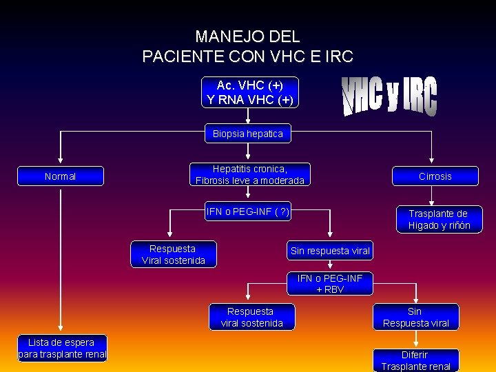 MANEJO DEL PACIENTE CON VHC E IRC Ac. VHC (+) Y RNA VHC (+)