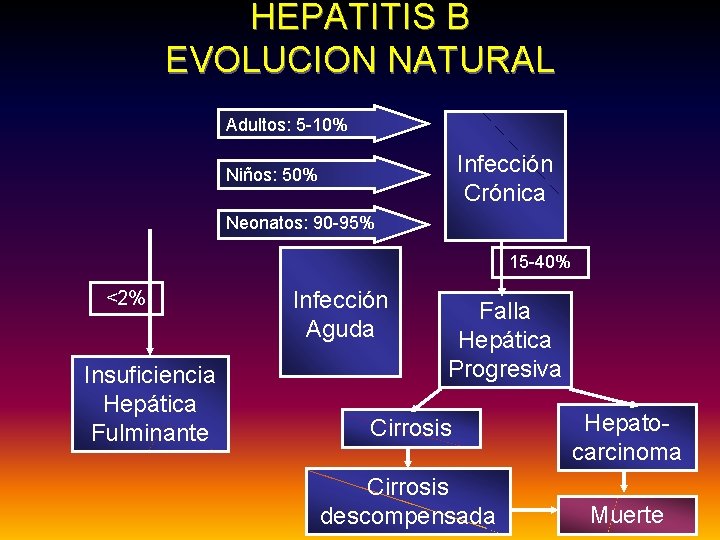 HEPATITIS B EVOLUCION NATURAL Adultos: 5 -10% Infección Crónica Niños: 50% Neonatos: 90 -95%