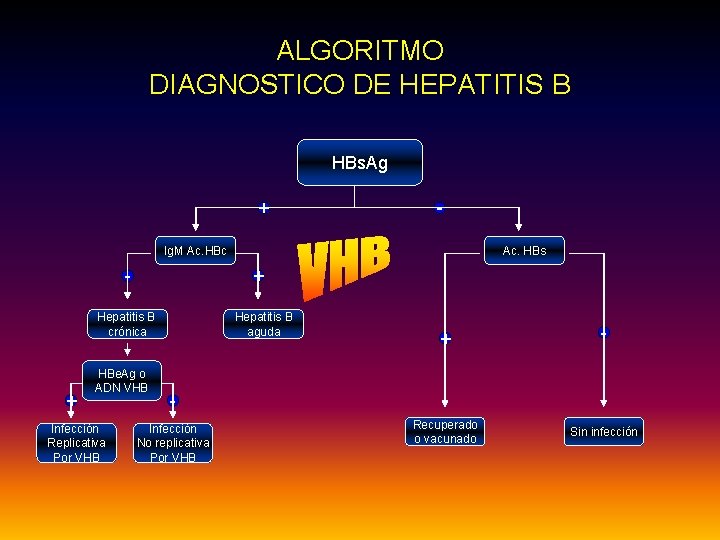 ALGORITMO DIAGNOSTICO DE HEPATITIS B HBs. Ag + - Ig. M Ac. HBc -