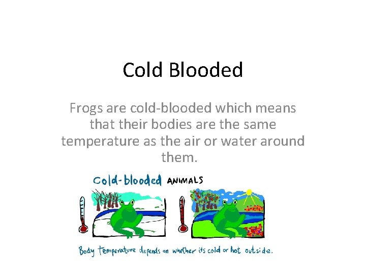 Cold Blooded Frogs are cold-blooded which means that their bodies are the same temperature