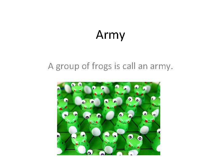 Army A group of frogs is call an army. 