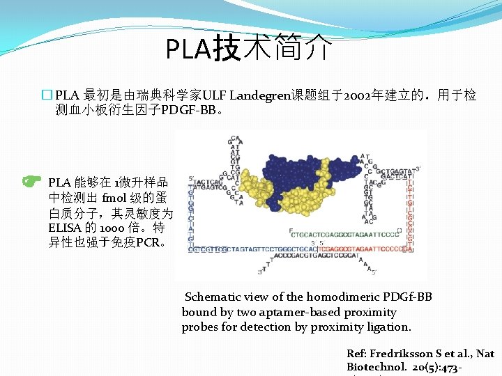 PLA技术简介 � PLA 最初是由瑞典科学家ULF Landegren课题组于2002年建立的，用于检 测血小板衍生因子PDGF-BB。 PLA 能够在 1微升样品 中检测出 fmol 级的蛋 白质分子，其灵敏度为 ELISA