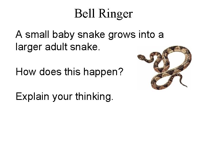Bell Ringer A small baby snake grows into a larger adult snake. How does