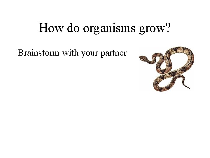 How do organisms grow? Brainstorm with your partner 