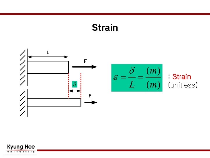 Strain L F ; Strain (unitless) F Strain L F ; Strain (unitless) F